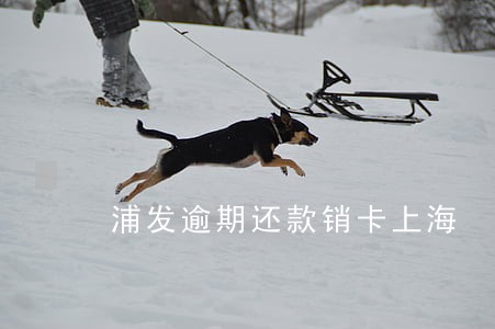 浦发逾期还款销卡上海 浦发逾期还款销卡上海