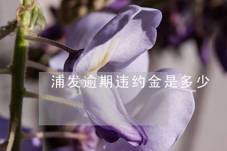 浦发逾期违约金是多少