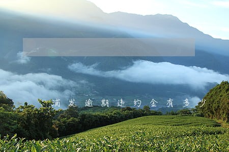 浦发逾期违约金有多少