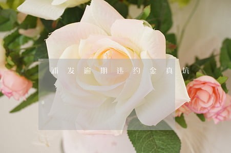 浦发逾期违约金真坑