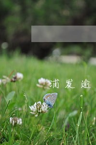 浦发逾期通知联系人 浦发逾期通知联系人