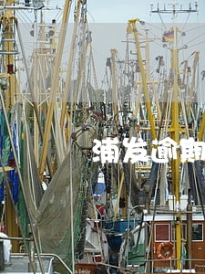 浦发逾期通知还200 浦发逾期通知还200