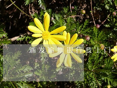 浦发逾期银行要上门怎么办上海