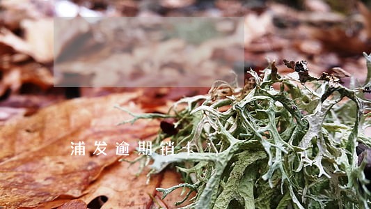 浦发逾期销卡 浦发逾期销卡