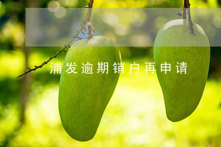 浦发逾期销户再申请