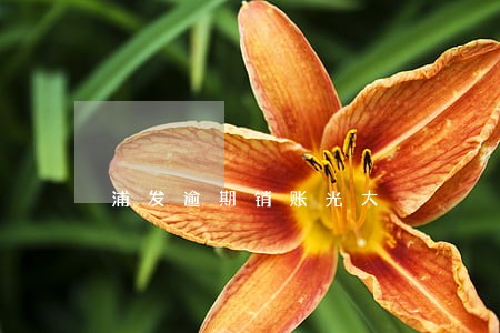 浦发逾期销账光大