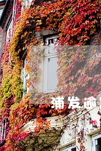 浦发逾期销账广发 浦发逾期销账广发