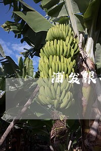 浦发银行2万逾期三年
