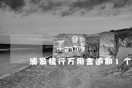 浦发银行万用金逾期1个月 浦发银行万用金逾期1个月