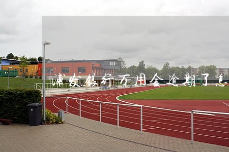 浦发银行万用金逾期了怎么办 浦发银行万用金逾期了怎么办