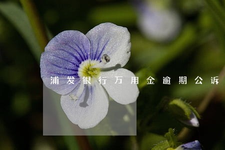 浦发银行万用金逾期公诉 浦发银行万用金逾期公诉