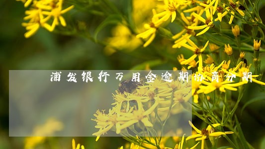 浦发银行万用金逾期协商分期 浦发银行万用金逾期协商分期