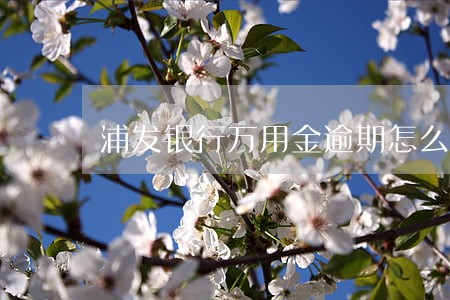 浦发银行万用金逾期怎么收费 浦发银行万用金逾期怎么收费