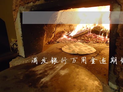 浦发银行万用金逾期费用 浦发银行万用金逾期费用