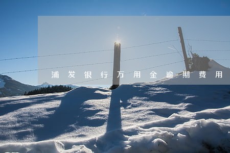 浦发银行万用金逾期费用超过本金