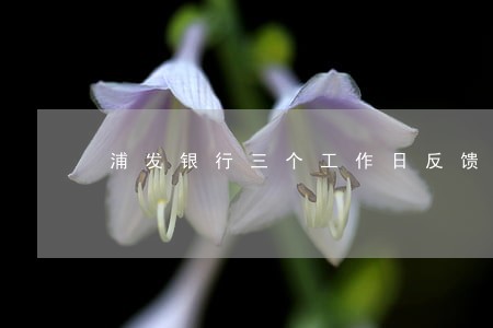 浦发银行三个工作日反馈导致逾期