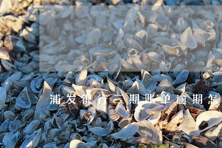 浦发银行三期账单逾期怎么办上海 浦发银行三期账单逾期怎么办上海