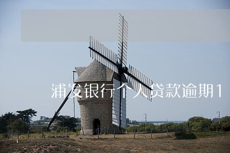 浦发银行个人贷款逾期1天 浦发银行个人贷款逾期1天