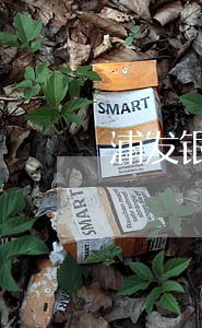 浦发银行信用卡3万元逾期1年 浦发银行信用卡3万元逾期1年