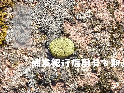 浦发银行信用卡3期逾期 浦发银行信用卡3期逾期