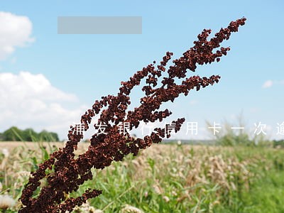 浦发银行信用卡一次逾期 浦发银行信用卡一次逾期