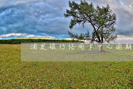 浦发银行信用卡中心逾期几天 浦发银行信用卡中心逾期几天