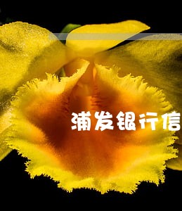 浦发银行信用卡加万用金逾期 浦发银行信用卡加万用金逾期