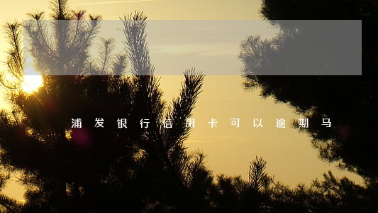 浦发银行信用卡可以逾期马 浦发银行信用卡可以逾期马