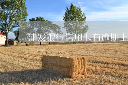 浦发银行信用卡有逾期上征信吗 浦发银行信用卡有逾期上征信吗