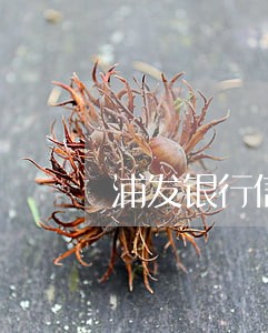 浦发银行信用卡有逾期怎么处理 浦发银行信用卡有逾期怎么处理