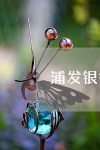 浦发银行信用卡欠2000逾期 浦发银行信用卡欠2000逾期