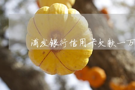 浦发银行信用卡欠款一万五逾期