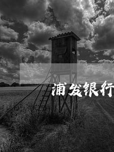 浦发银行信用卡的逾期怎么办 浦发银行信用卡的逾期怎么办
