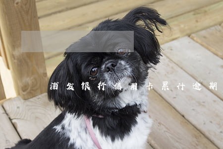 浦发银行信用卡累计逾期
