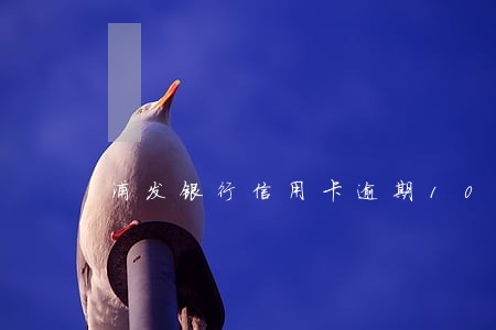 浦发银行信用卡逾期10年 浦发银行信用卡逾期10年