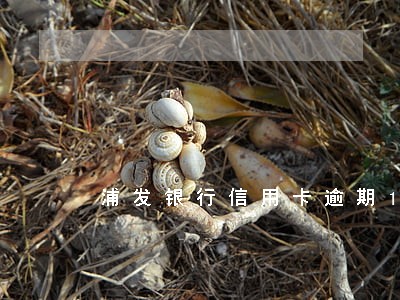 浦发银行信用卡逾期16万 浦发银行信用卡逾期16万