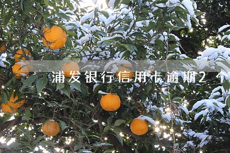 浦发银行信用卡逾期2个月