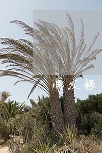 浦发银行信用卡逾期2个月冻卡 浦发银行信用卡逾期2个月冻卡