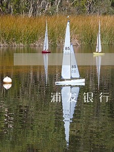 浦发银行信用卡逾期2元一周 浦发银行信用卡逾期2元一周