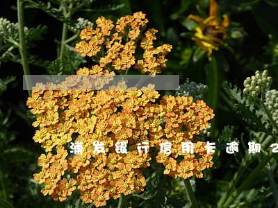 浦发银行信用卡逾期2千 浦发银行信用卡逾期2千