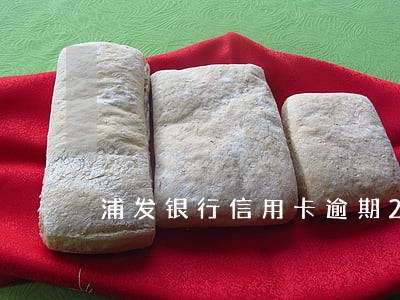 浦发银行信用卡逾期2次被冻结 浦发银行信用卡逾期2次被冻结
