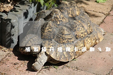 浦发银行信用卡逾期3期
