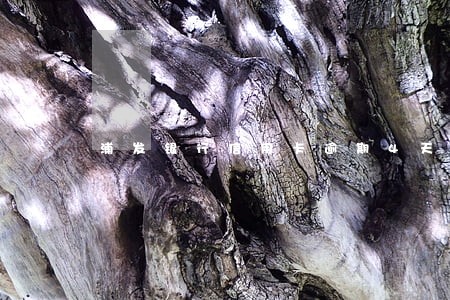 浦发银行信用卡逾期4天70块 浦发银行信用卡逾期4天70块