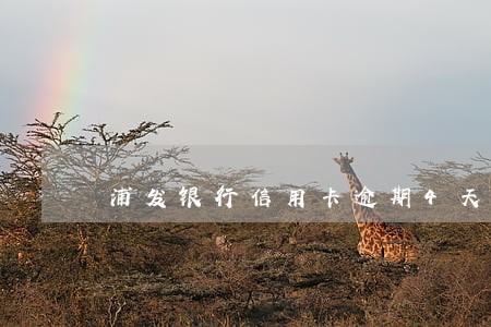 浦发银行信用卡逾期4天会进去吗 浦发银行信用卡逾期4天会进去吗