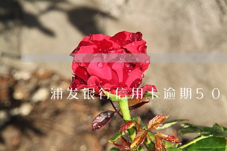 浦发银行信用卡逾期5000 浦发银行信用卡逾期5000