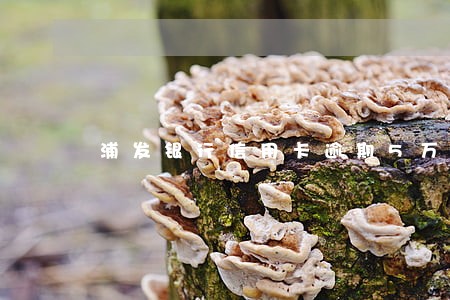 浦发银行信用卡逾期5万3个月 浦发银行信用卡逾期5万3个月