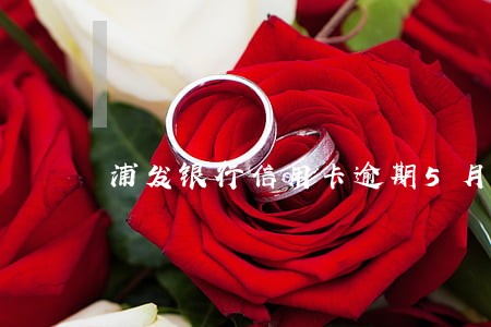 浦发银行信用卡逾期5月5日还款 浦发银行信用卡逾期5月5日还款