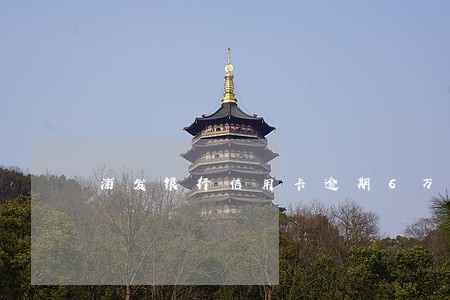 浦发银行信用卡逾期6万8 浦发银行信用卡逾期6万8