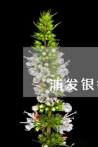 浦发银行信用卡逾期7月77万