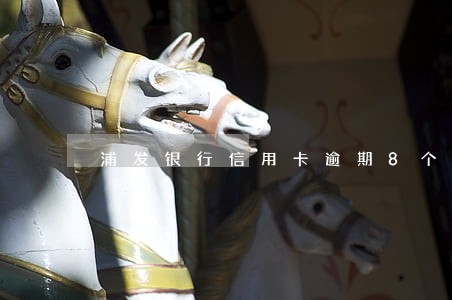 浦发银行信用卡逾期8个月没还 浦发银行信用卡逾期8个月没还